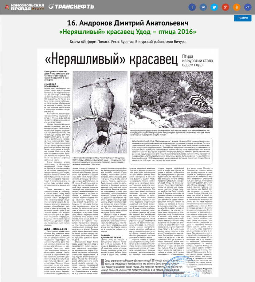 Номинанты конкурса «Окно в природу»