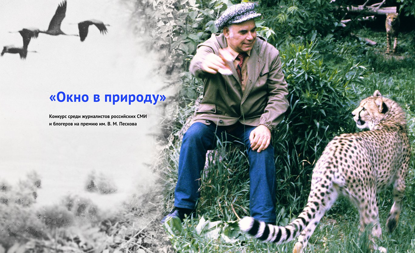 Премия имени Василия Пескова