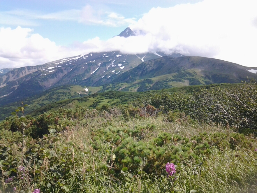 20140819_113647.jpg