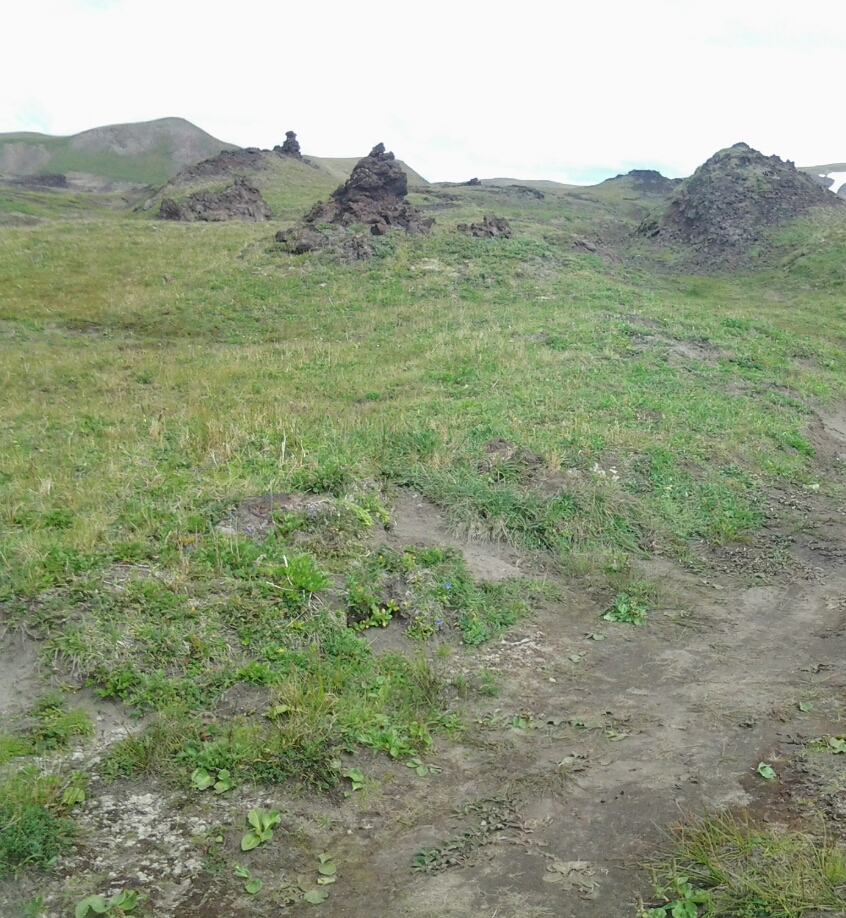 20140819_123926.jpg