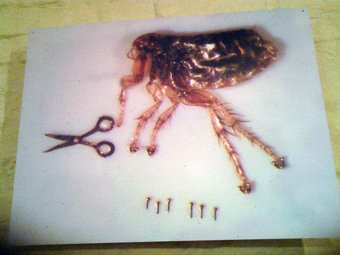 20140828_2114212.jpg