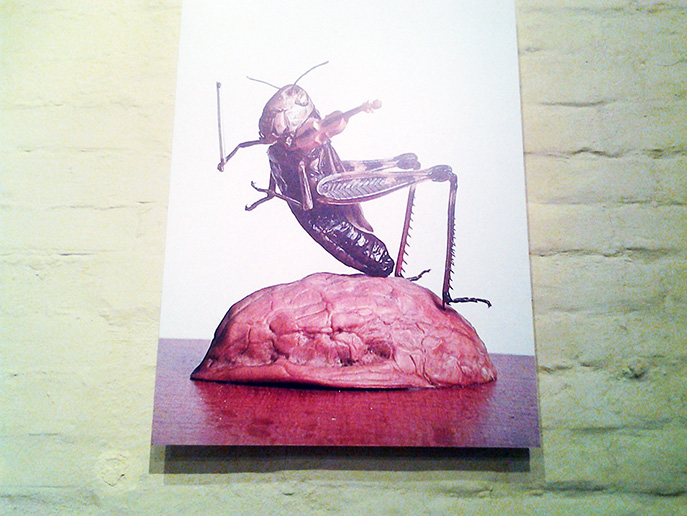20140828_211446.jpg
