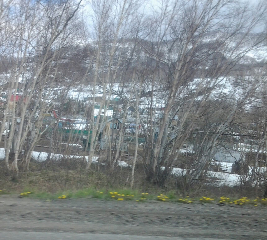 20150525_123334.jpg