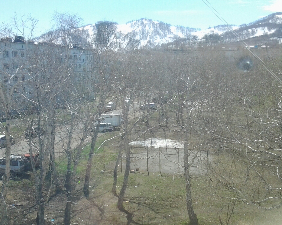 20150530_122949.jpg