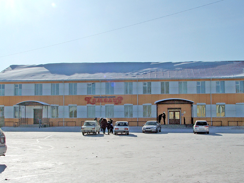 Камелия.jpg