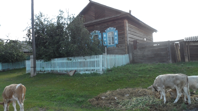 4-SAM_0931.JPG