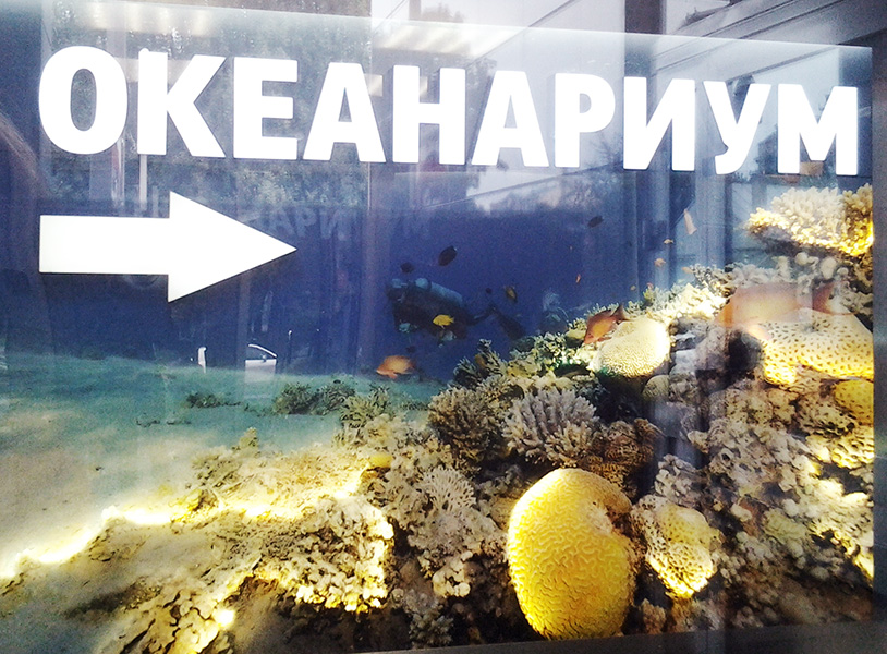 океанариум.jpg