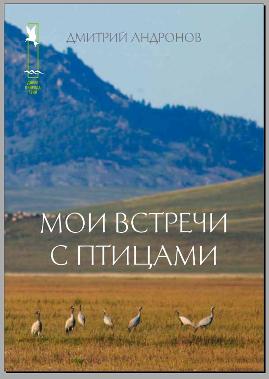 Снимок.JPG