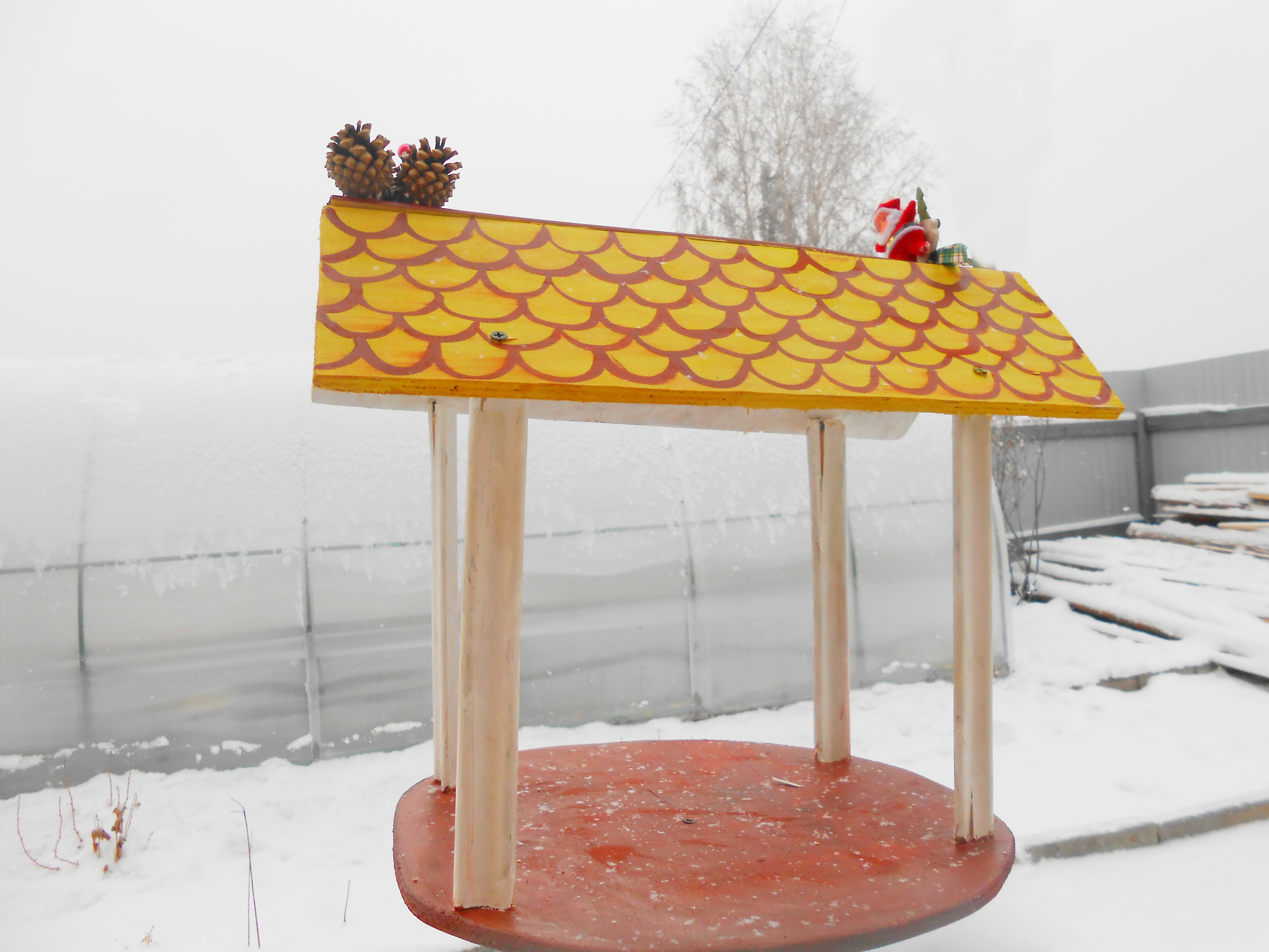 DSCN4972.JPG