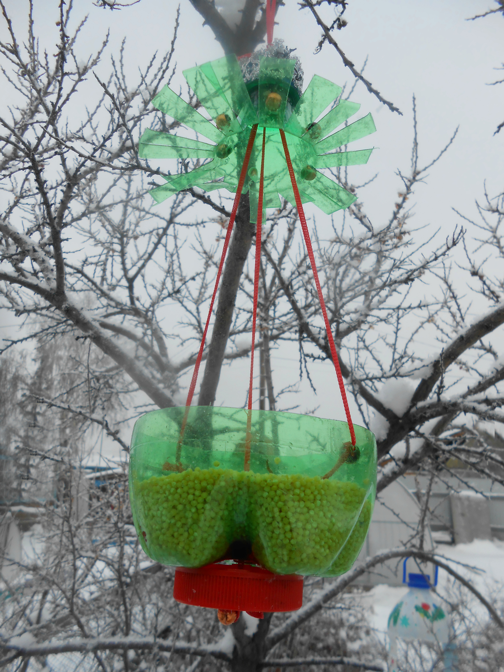 DSCN4979.JPG