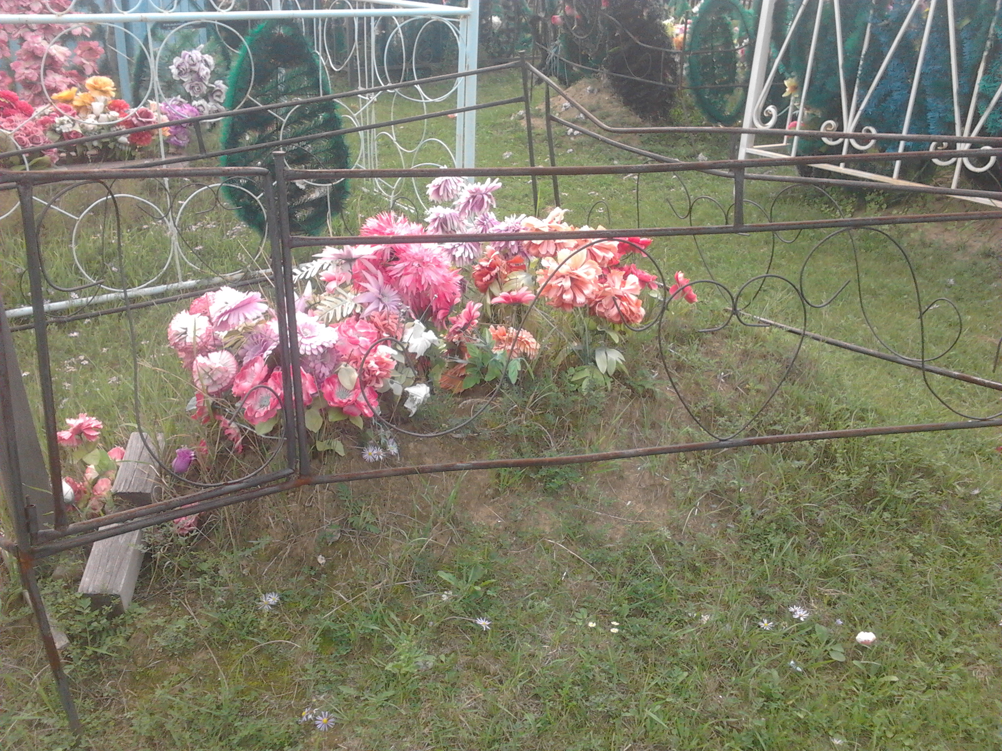 Foto1414.jpg