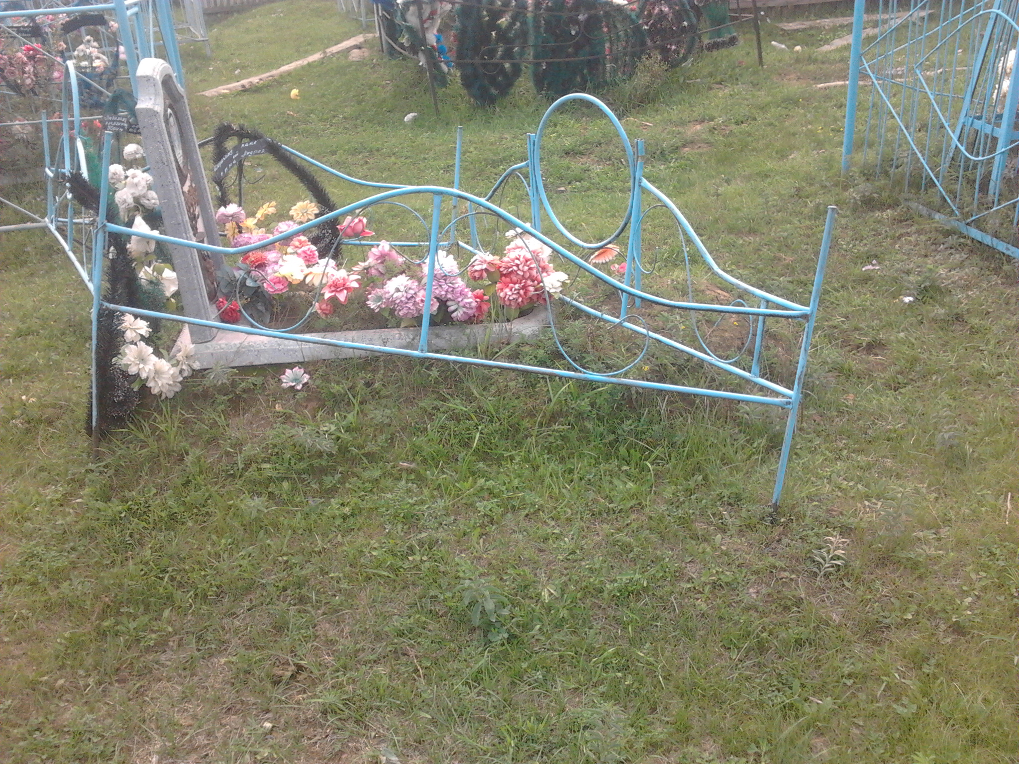 Foto1421.jpg