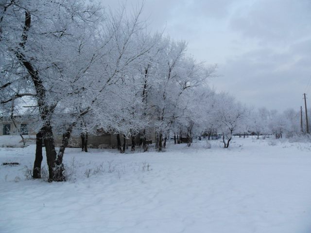 Изображение 004.jpg