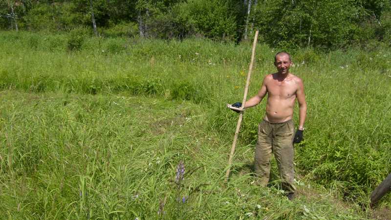 Сенокос 2008 139.jpga.jpg