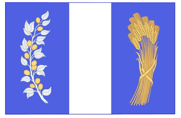 Флаг Бичуры.jpg