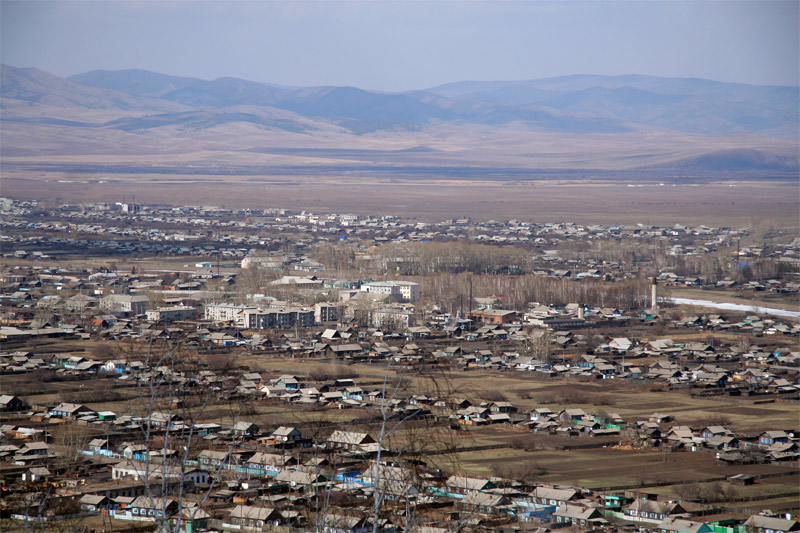 Синяя-степная.jpg
