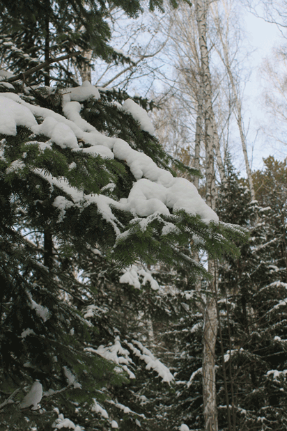 зима-в-городке.gif