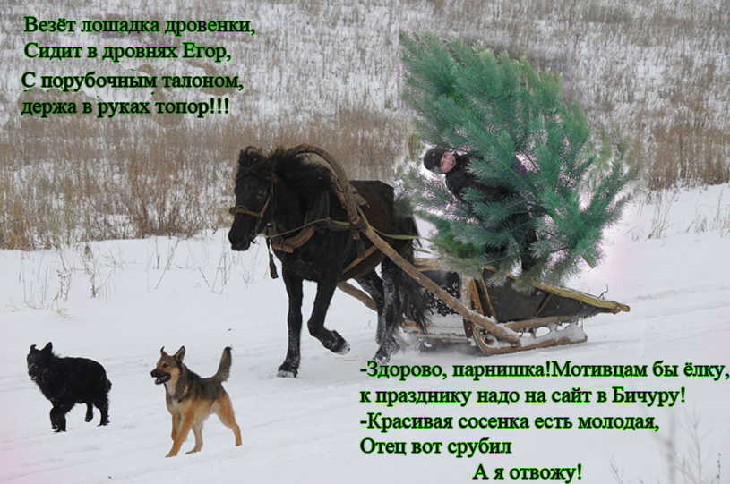 бежит-лошадка-махноногая,-а-вдровнях-мужичок.jpg