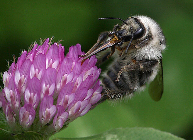 _MG_0109.JPG