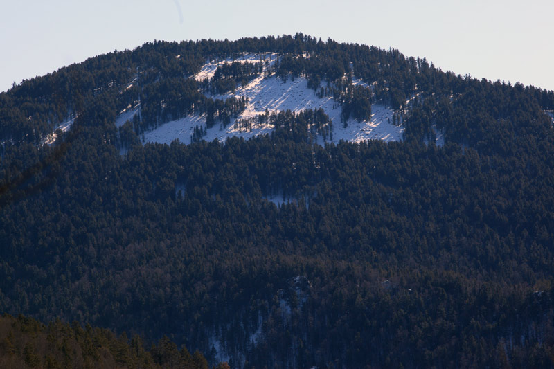 _MG_1315.jpg