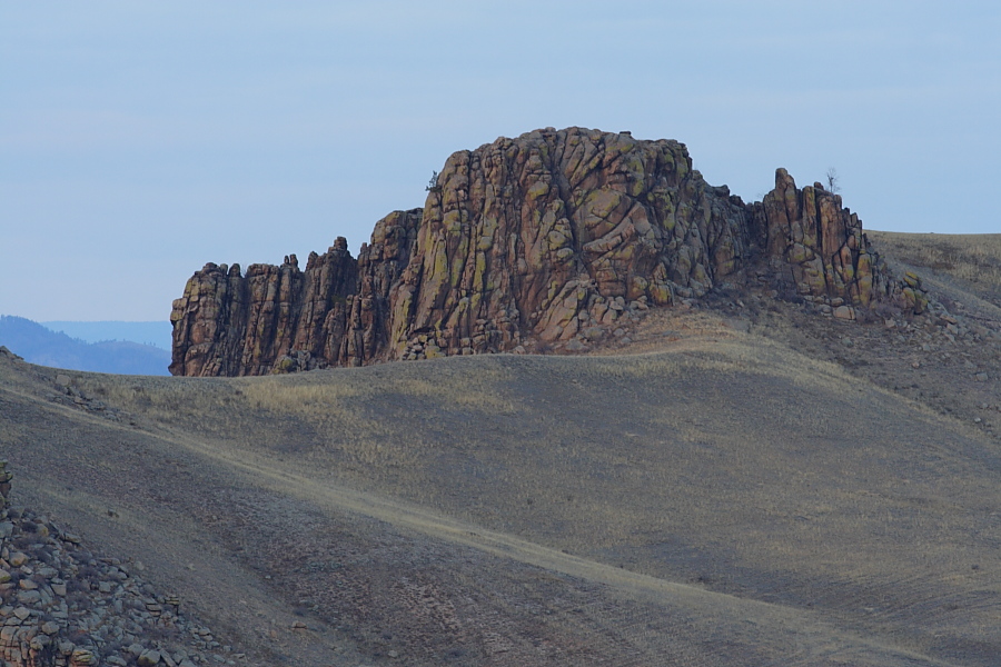 _MG_2687.JPG