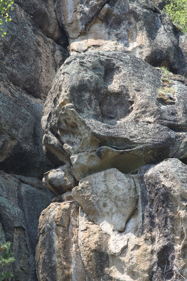 _MG_2726.jpg