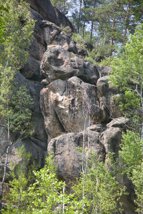 _MG_2727.jpg
