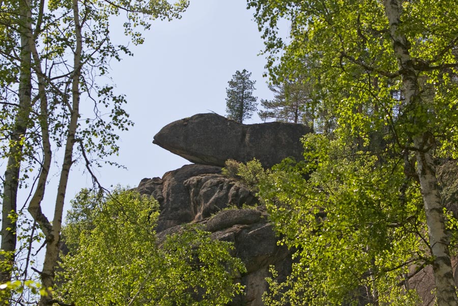 _MG_2731.jpg