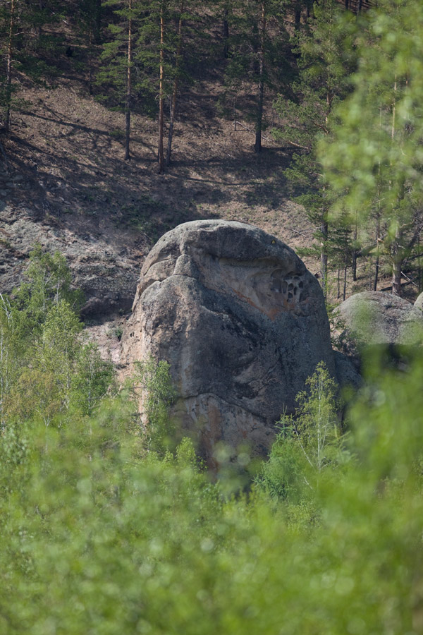 _MG_2799.jpg