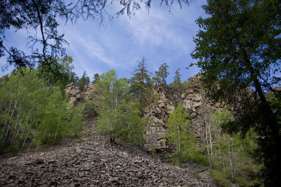 _MG_2842.jpg