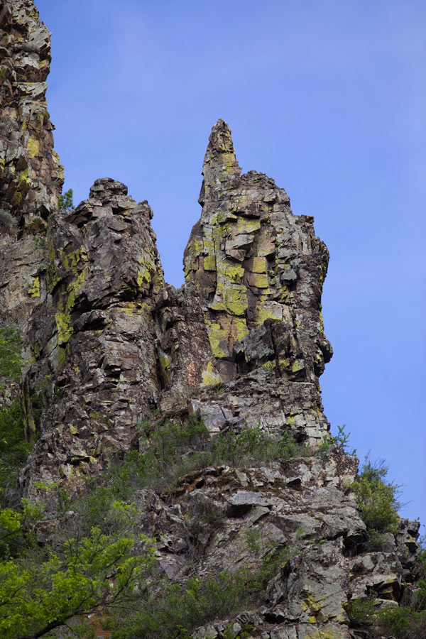 _MG_2844.jpg
