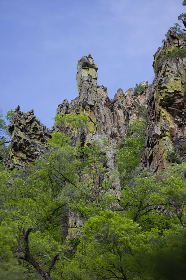_MG_2846.jpg