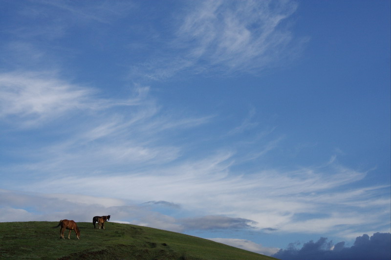 _MG_3764.jpg