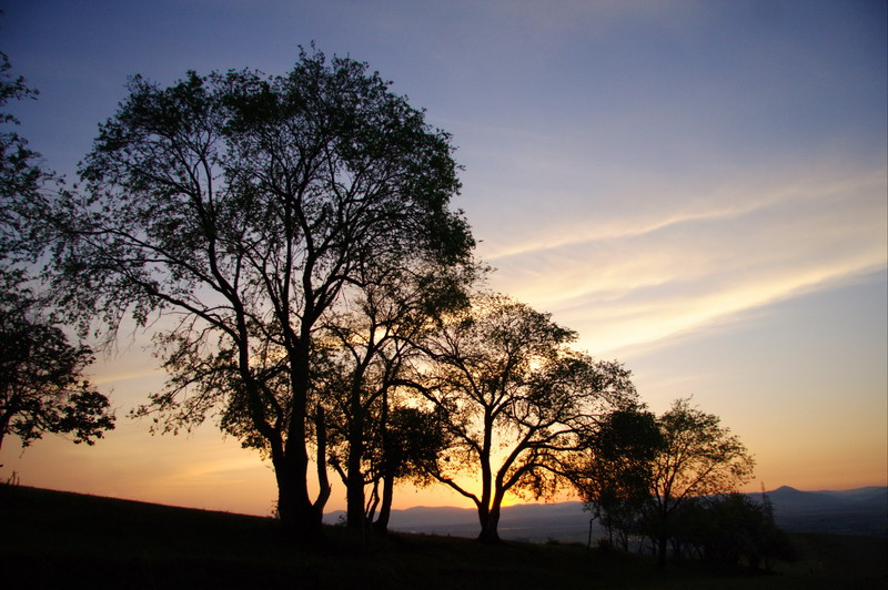 _MG_3765.jpg
