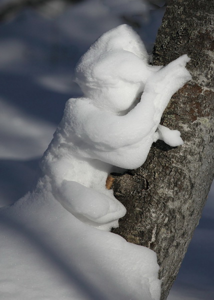 _MG_4470.jpg