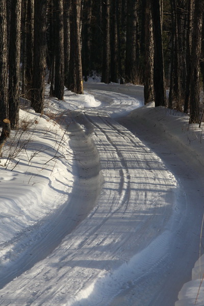 _MG_4521.jpg