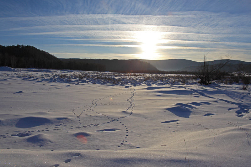 _MG_4536.jpg