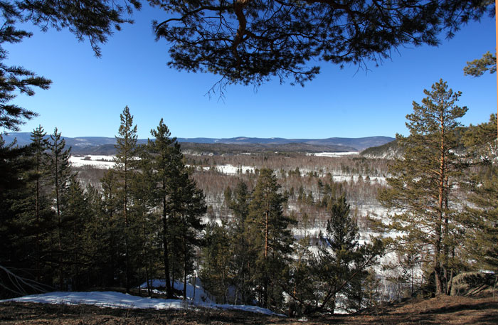 _MG_4974.JPG