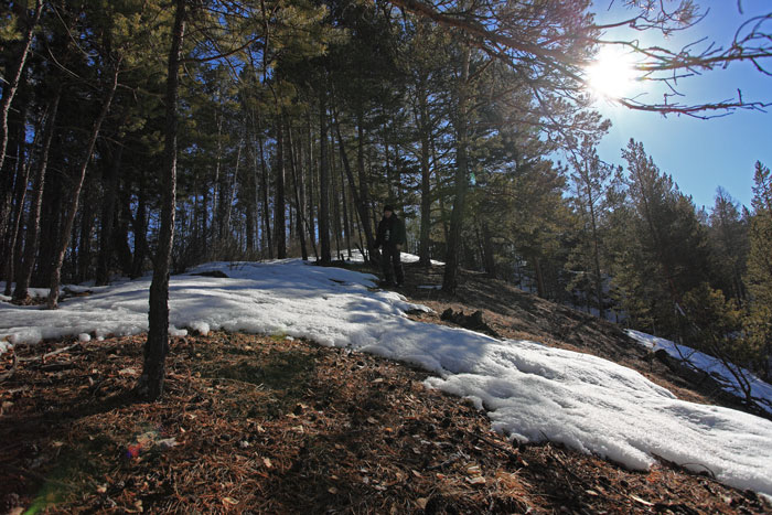_MG_4986.JPG