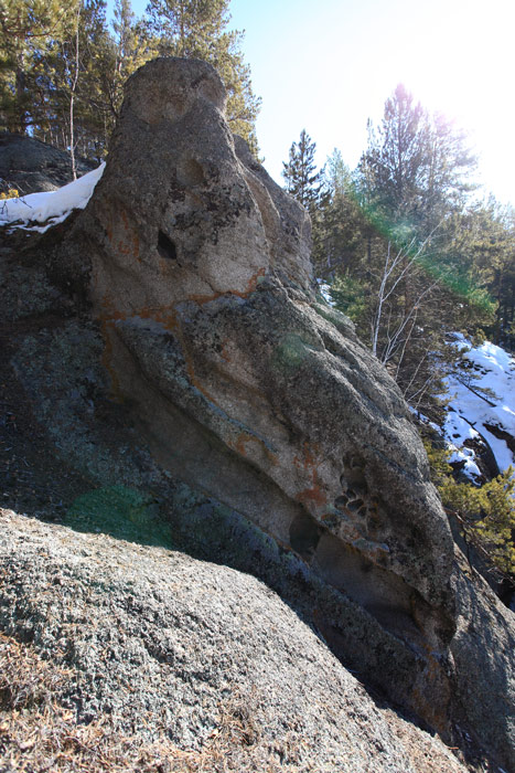 _MG_4993.JPG