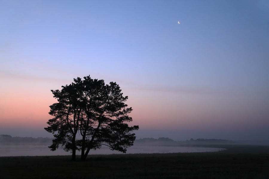 _MG_6177.jpg