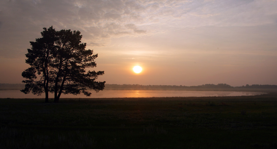 _MG_6232.jpg
