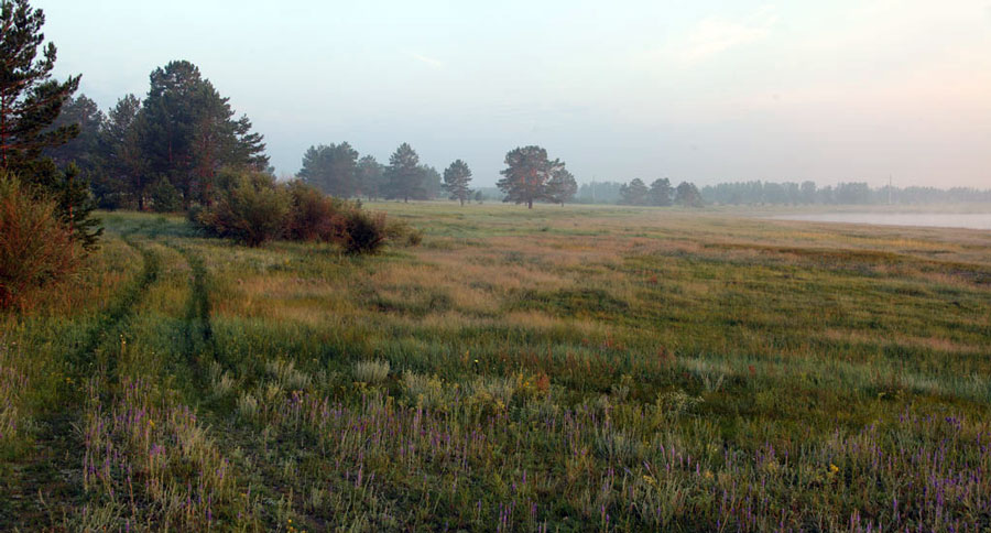 _MG_6274.jpg