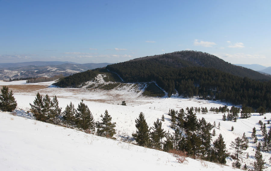 _MG_6383.jpg