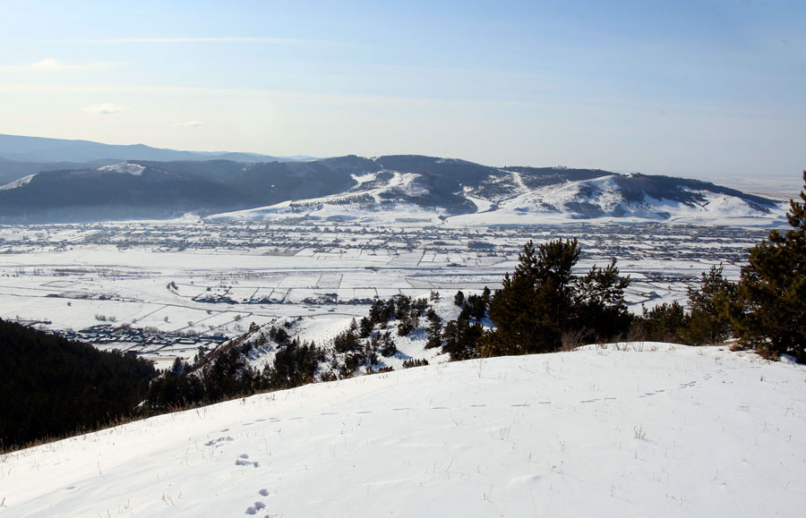 _MG_6386.jpg