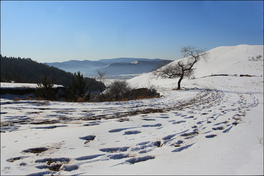 _MG_7167.jpg