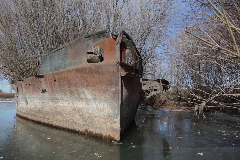 _MG_7332.jpg