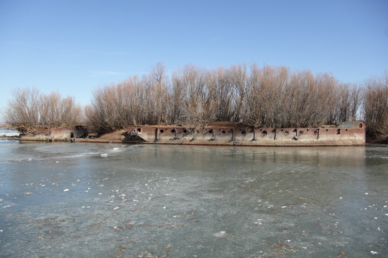 _MG_7334.jpg
