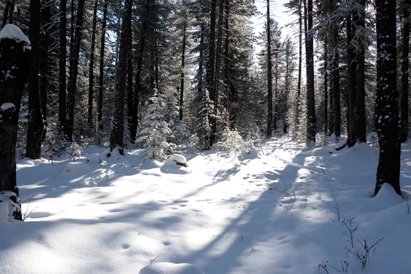 _MG_7578.jpg