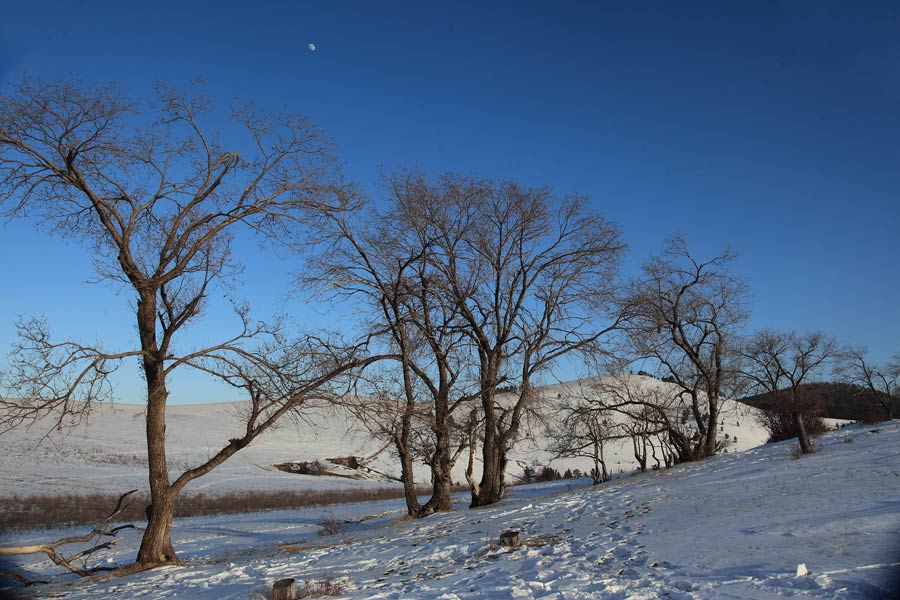 _MG_7717.jpg